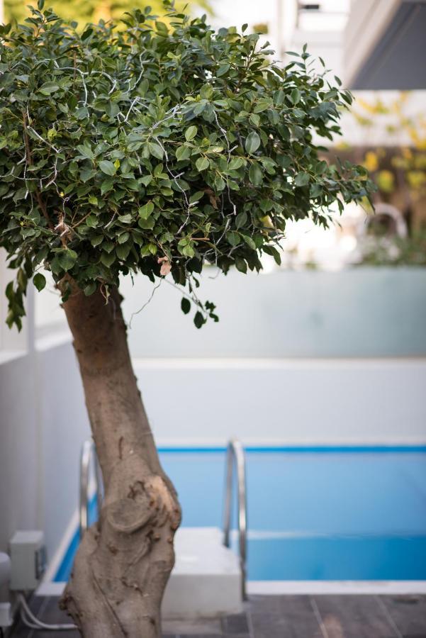 Palmyra Athens Villa Ngoại thất bức ảnh